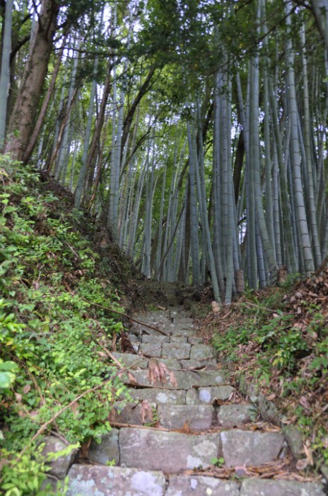 坂ノ上神社 006