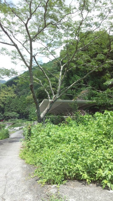 神社