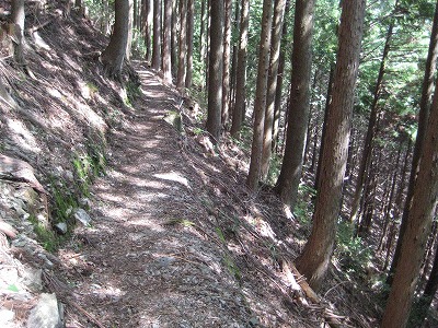 福養の滝への道