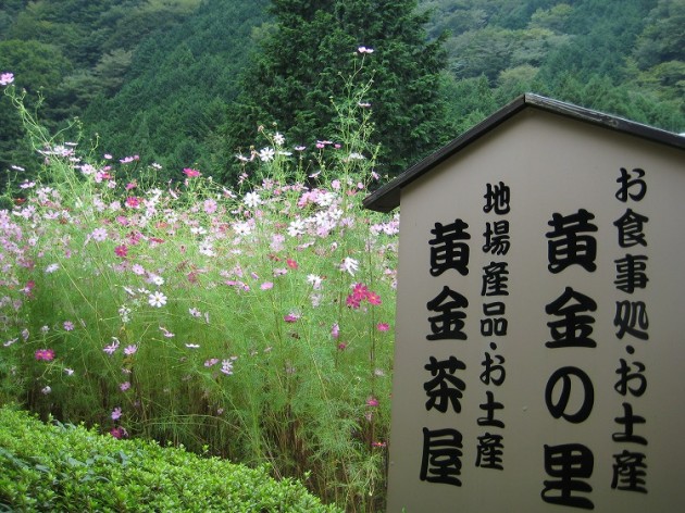 オクシズ・安部奥・黄金の湯