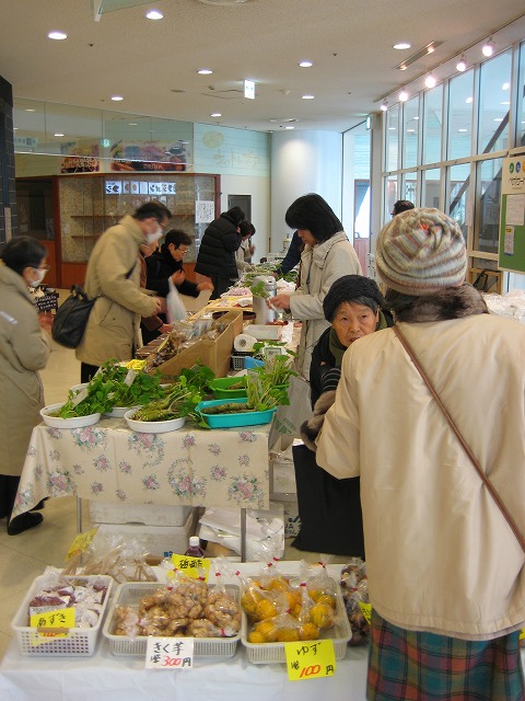 井川朝市　ペガサート